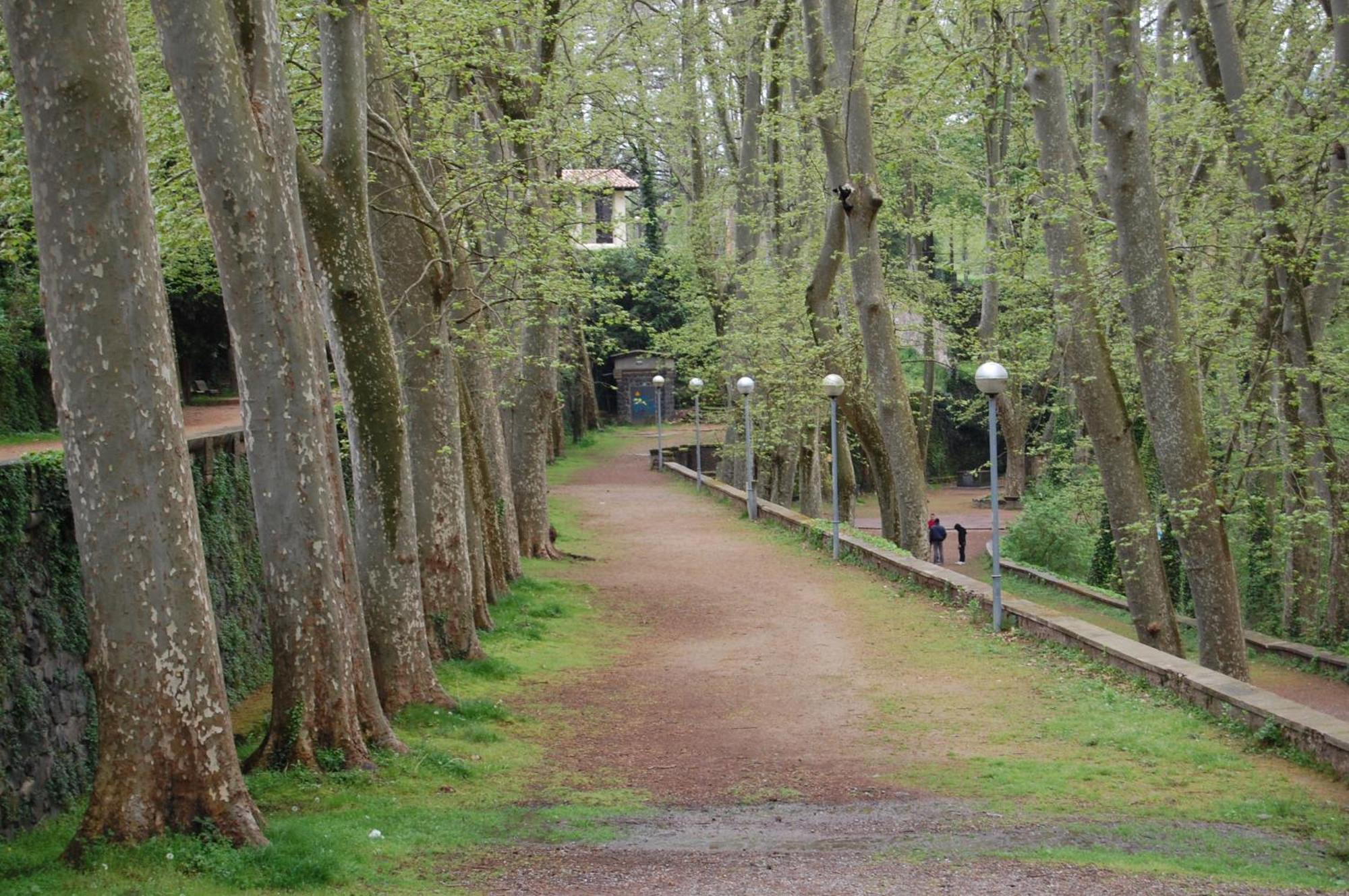 El Solell de l'àvia Vila Olot Exterior foto